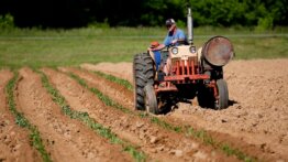 Seguro Rural e Mudanças Climáticas: Proteção Financeira para Agricultores