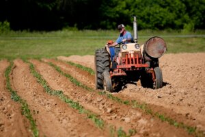 Seguro Rural e Mudanças Climáticas: Proteção Financeira para Agricultores