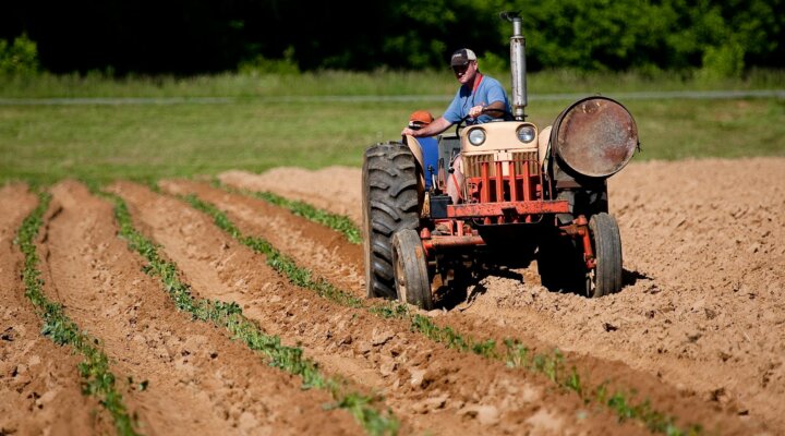 Seguro Rural e Mudanças Climáticas: Proteção Financeira para Agricultores